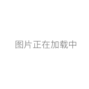 上海躍進(jìn)厭氧培養(yǎng)箱HYQX-II